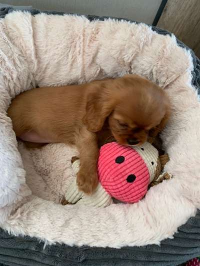 Fotochallange Nummer 5-Beitrag-Bild