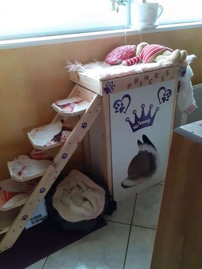 Kauspielzeug-Beitrag-Bild