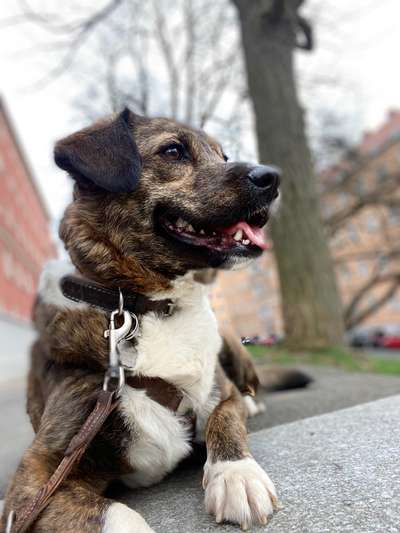 Austausch zur Fotografie-Beitrag-Bild