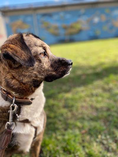 Austausch zur Fotografie-Beitrag-Bild