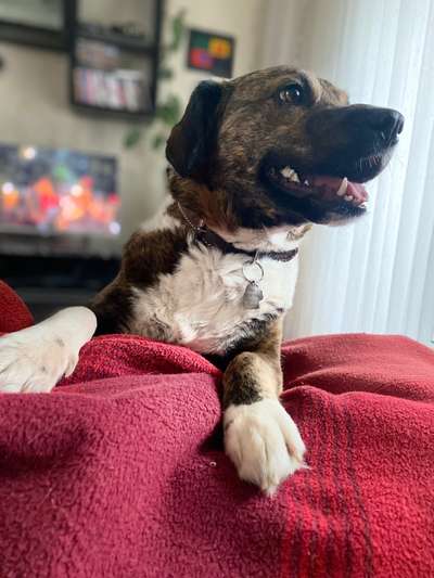 Austausch zur Fotografie-Beitrag-Bild