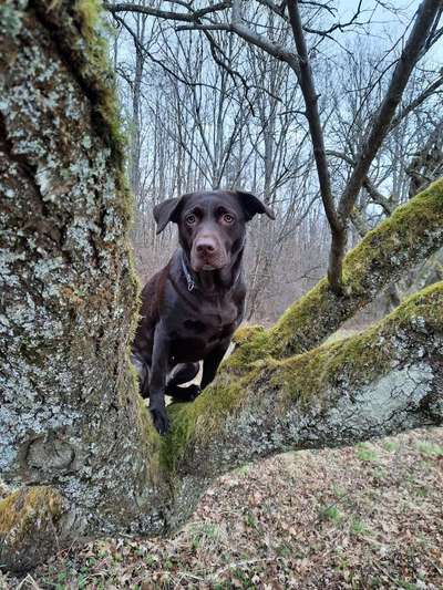 Dogorama Photo Challenge - Der Frühling kommt-Beitrag-Bild