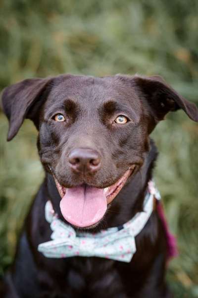 Fotochallange Nr. 57     PORTRÄT.   Beendet!!!!!!!!-Beitrag-Bild