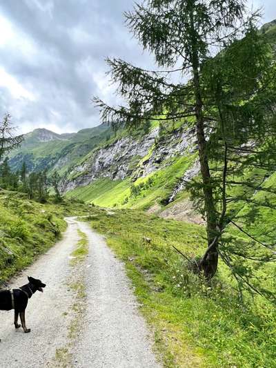 Fotochallenge Nr 107-Beitrag-Bild