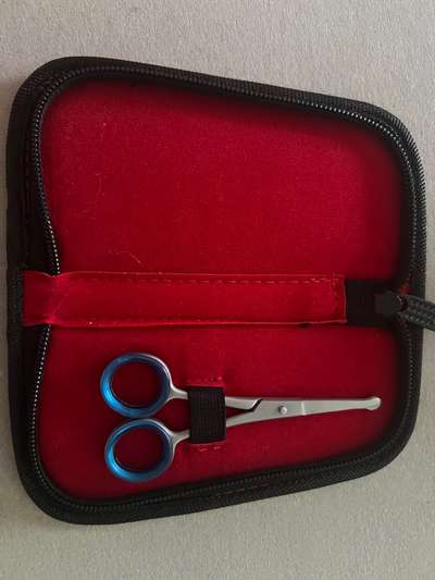 Tierbude Hunde Haar-Schere-Beitrag-Bild