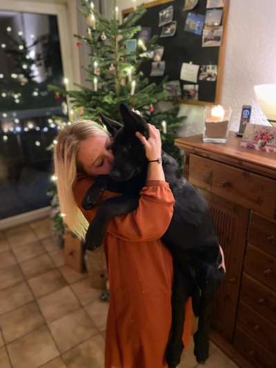 Dogorama Photo Challenge - Bescherung-Beitrag-Bild