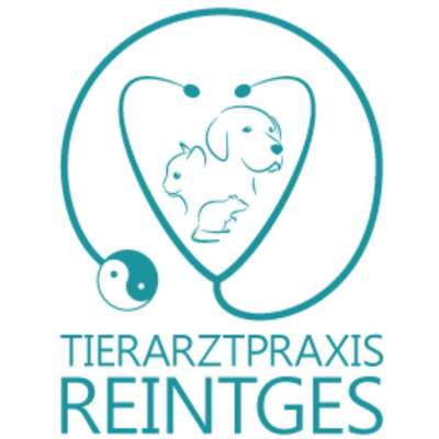 Tierärzte-Tierarztpraxis Reintges-Bild