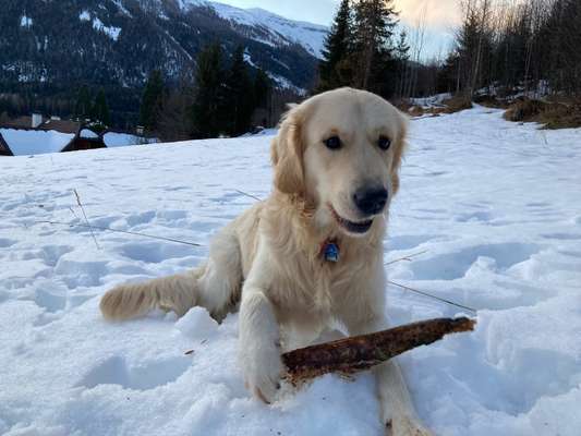 Fotochallenge Nr. 67: Euer Lieblingsbild-Beitrag-Bild