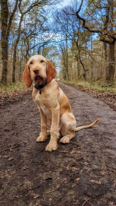 Fotochallenge Nr. 67: Euer Lieblingsbild-Beitrag-Bild