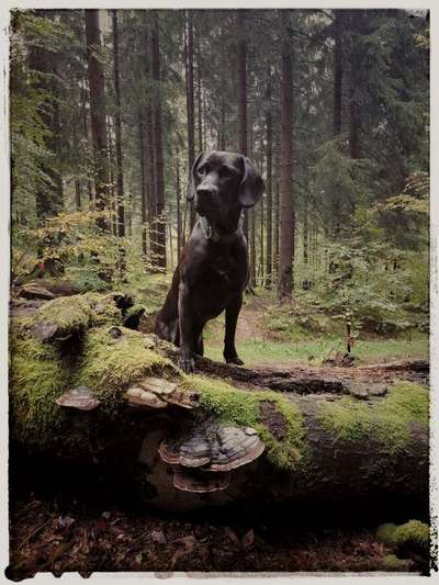 Lieblingsbild :D-Beitrag-Bild