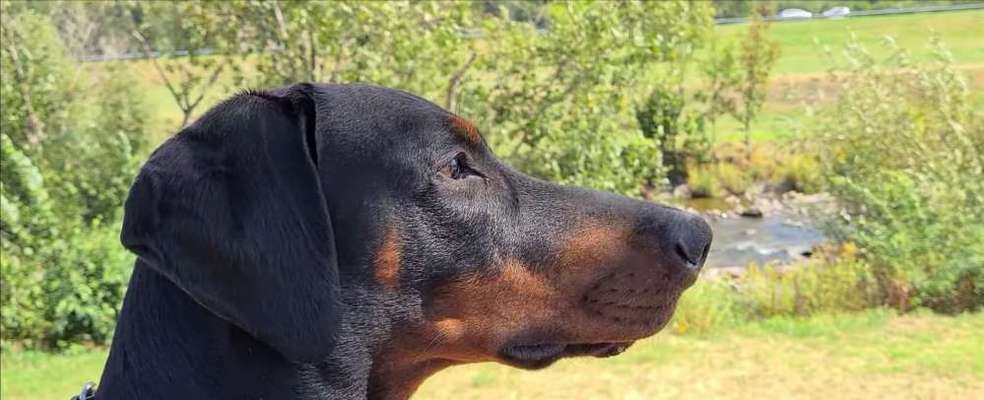 Lieblingsbild :D-Beitrag-Bild