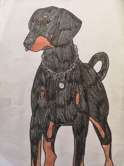 Zeichnungen Eurer Hunde !?-Beitrag-Bild