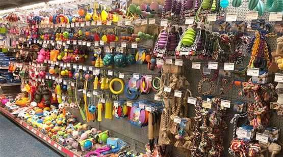 Gefährliche Spielzeuge-Beitrag-Bild