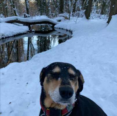 Fotochallenge 61 ~ Schnee-Beitrag-Bild