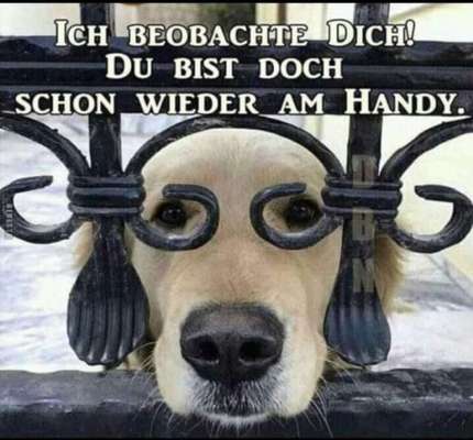 Hier ist der Spaßthread. Zum Schmunzeln und Kaputtlachen-Beitrag-Bild