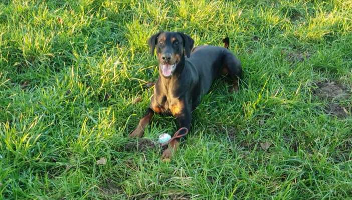 Zeigt her euer Lieblingsspielzeug-Beitrag-Bild