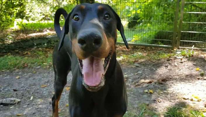 Lieblings "nervige Sprüche"-Beitrag-Bild