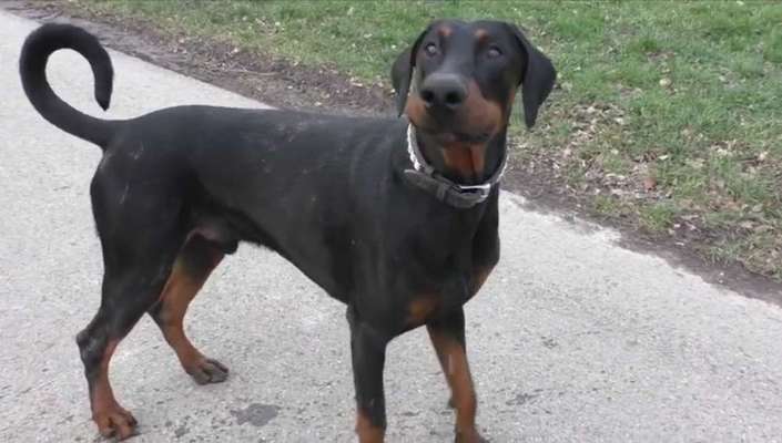 LUSTIGE FOTOS! WER KANN MITHALTEN?-Beitrag-Bild