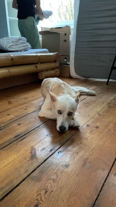 Fotochallange Nr. 57     PORTRÄT.   Beendet!!!!!!!!-Beitrag-Bild