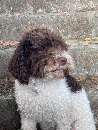 Fotochallange Nr. 57     PORTRÄT.   Beendet!!!!!!!!-Beitrag-Bild