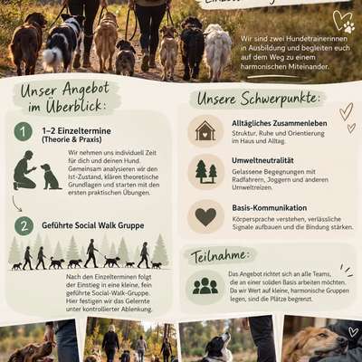 Hundetreffen-🐾 Gemeinsam zum entspannten Alltag: Einzeltraining & Social Walks! 🐾-Bild
