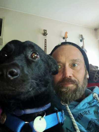 👀 Doppelgänger-Alarm: Siehst du deinem Hund ähnlich? Oder teilt ihr denselben Charakter? 🐾-Beitrag-Bild