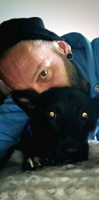 👀 Doppelgänger-Alarm: Siehst du deinem Hund ähnlich? Oder teilt ihr denselben Charakter? 🐾-Beitrag-Bild