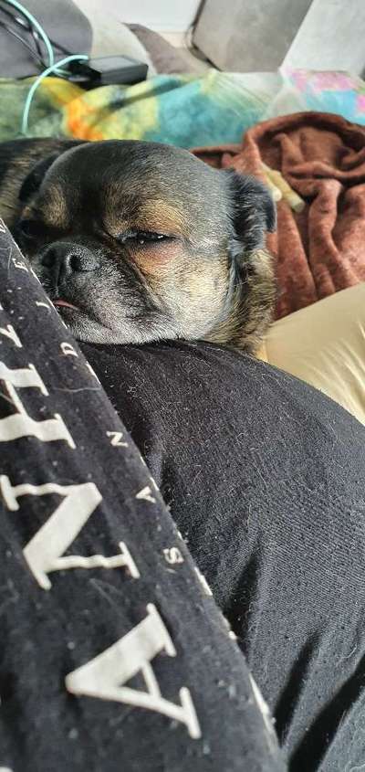 Lieblingsbild :D-Beitrag-Bild