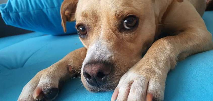 Lieblingsbild :D-Beitrag-Bild