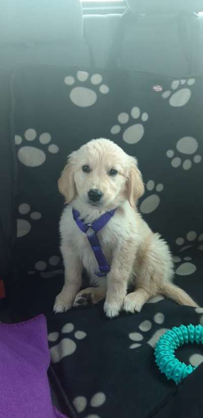 Foto Challenge 3-Beitrag-Bild