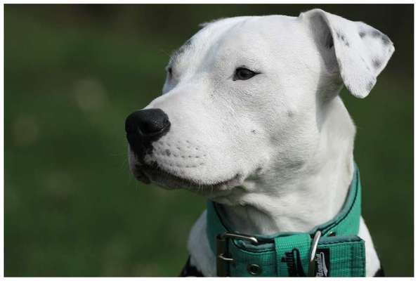 Lieblingsbild :D-Beitrag-Bild