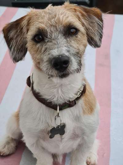 Fotochallange Nr. 57     PORTRÄT.   Beendet!!!!!!!!-Beitrag-Bild