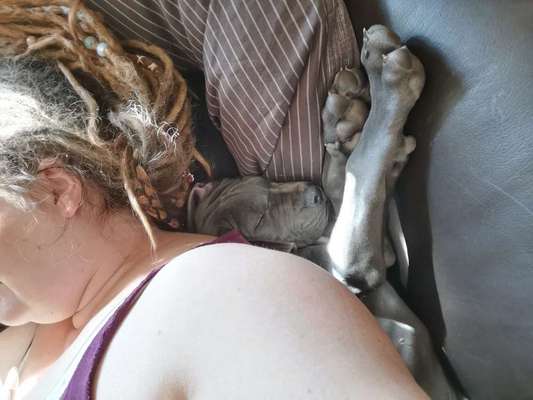 Die unbequemsten und lustigsten Schlafpositionen-Beitrag-Bild