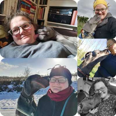 Küsschenbilder-Beitrag-Bild