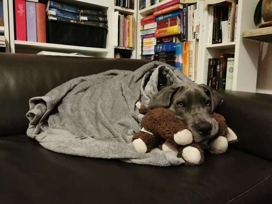 Challenge 21 - wo bin ich : )-Beitrag-Bild