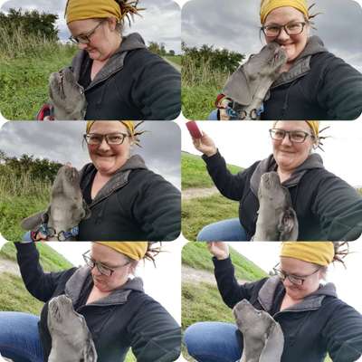 Die lustigsten Selfies mit Deinem Hund !-Beitrag-Bild