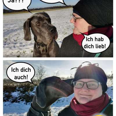 Die lustigsten Selfies mit Deinem Hund !-Beitrag-Bild