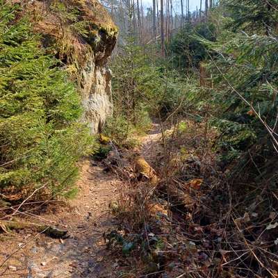 aktuelles Foto Gruppe Wandern und Outdoor