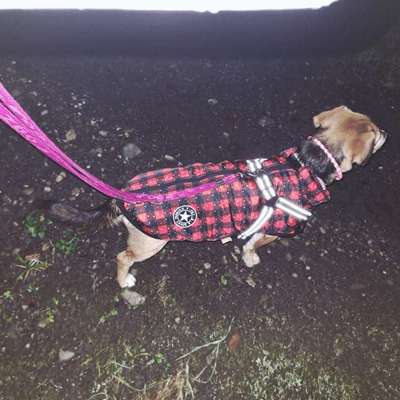 Suchmeldung-Ria-Bild