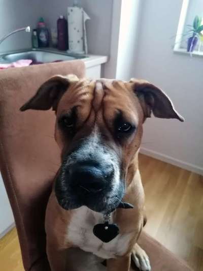 Fotochallange Nr. 57     PORTRÄT.   Beendet!!!!!!!!-Beitrag-Bild