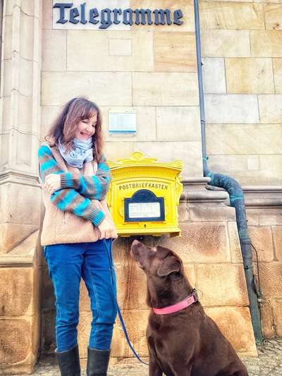 21. Collage Challenge 
Du und dein Hund-Beitrag-Bild