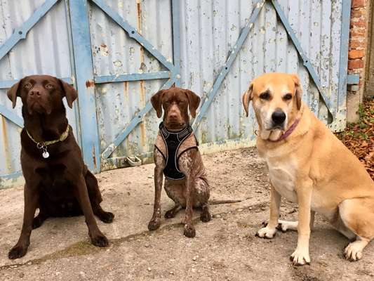 Fotochallenge 69-Beitrag-Bild