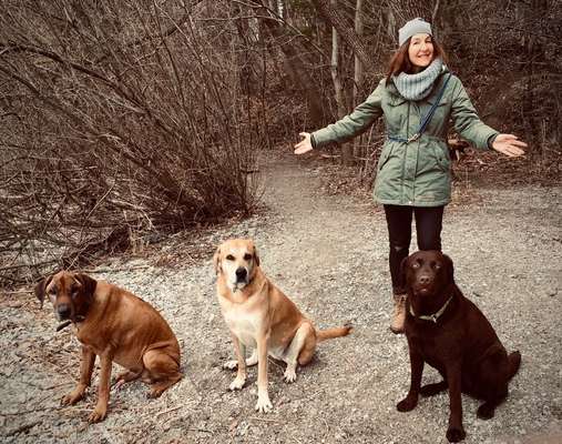 Hundmenschfotos-Beitrag-Bild