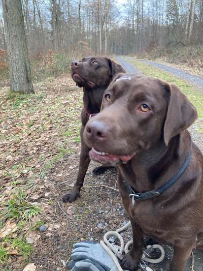 Fotochallenge 130-Beitrag-Bild