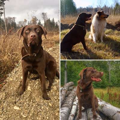 Euer schönster Moment des Jahres auf einem Bild!-Beitrag-Bild