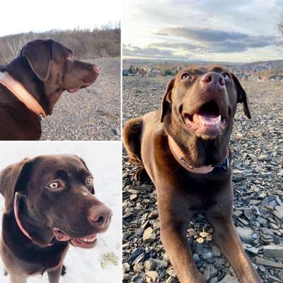 23. Collagen-Challenge: Portraits-Beitrag-Bild