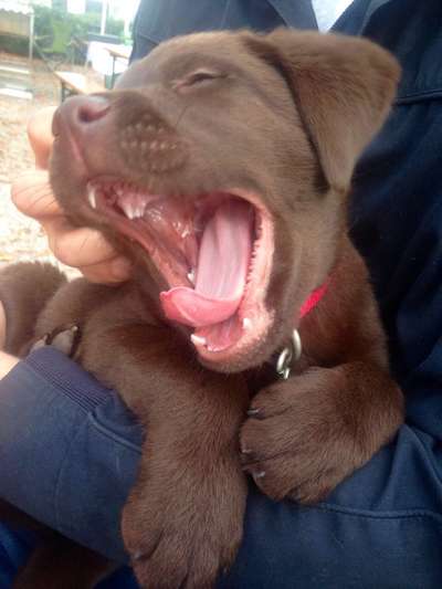 Sie werden so schnell erwachsen ...-Beitrag-Bild