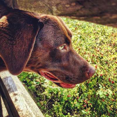 23. Handy Foto-Challenge-Beitrag-Bild