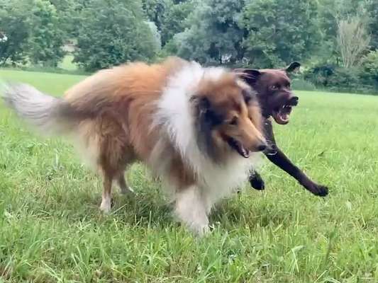 26. Handy Foto Challenge-Beitrag-Bild