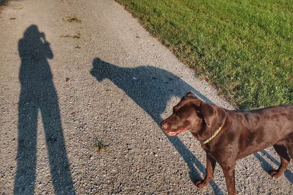 Fotochallange Nr. 46

Schattenspiele BEENDET!!!!!-Beitrag-Bild